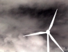 windpower | free mp3 album download @ http://www.toolateforroses.com/